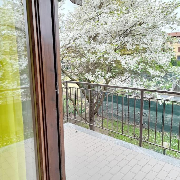 奥雷吉奥卡斯特罗Il Vecchio Kiwi - House With Private Garden别墅 外观 照片